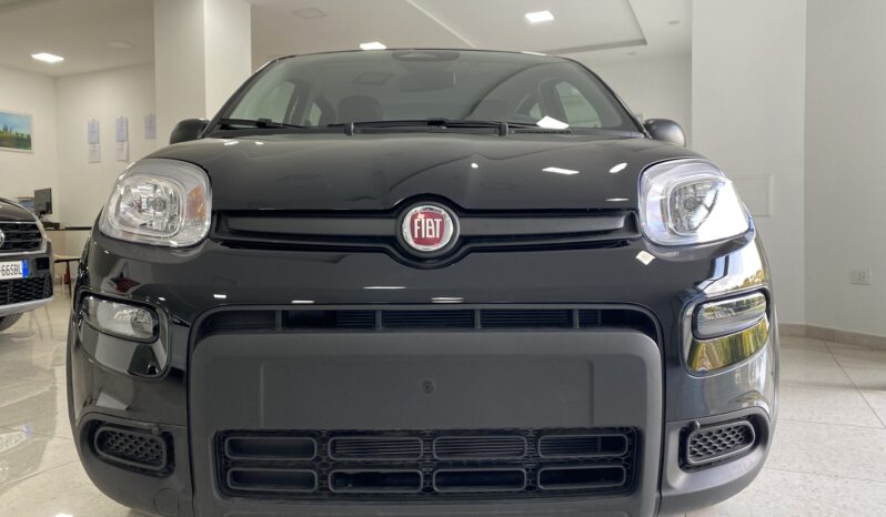 FIAT PANDA BENZINA/HYBRID ICON NUOVA pieno