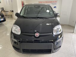 FIAT PANDA BENZINA/HYBRID ICON NUOVA pieno
