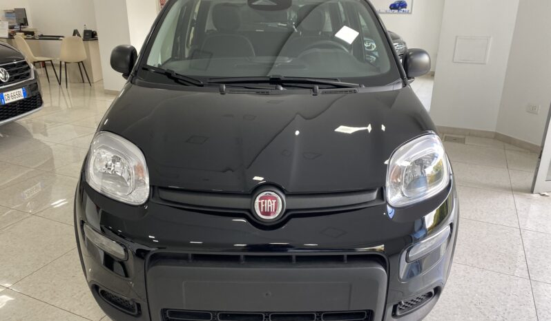 FIAT PANDA BENZINA/HYBRID ICON NUOVA pieno