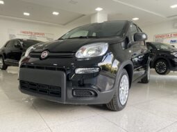 FIAT PANDA BENZINA/HYBRID ICON NUOVA pieno
