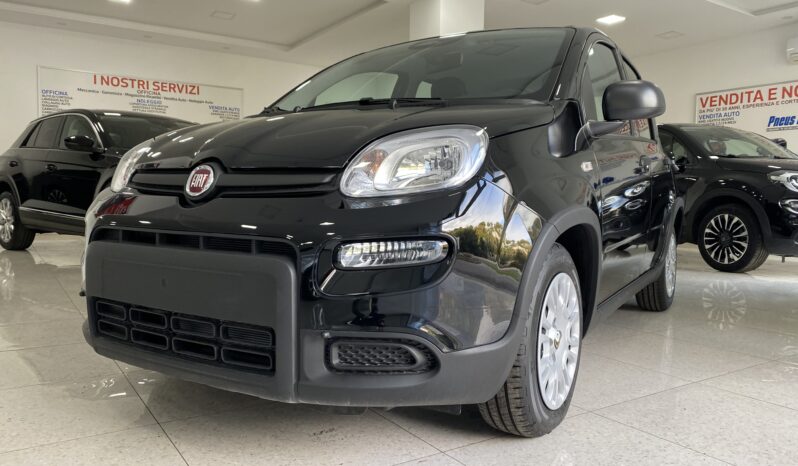 FIAT PANDA BENZINA/HYBRID ICON NUOVA pieno
