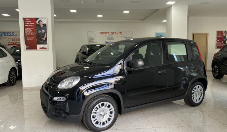 FIAT PANDA BENZINA/HYBRID ICON NUOVA pieno
