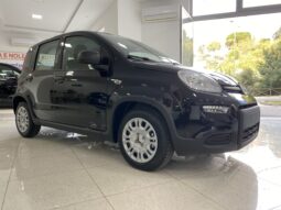 FIAT PANDA BENZINA/HYBRID ICON NUOVA pieno