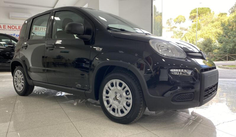 FIAT PANDA BENZINA/HYBRID ICON NUOVA pieno