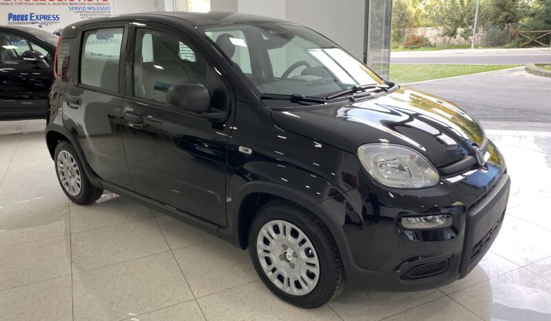 FIAT PANDA BENZINA/HYBRID ICON NUOVA pieno