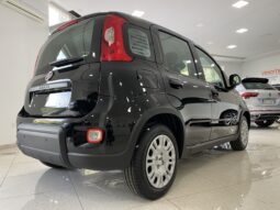 FIAT PANDA BENZINA/HYBRID ICON NUOVA pieno