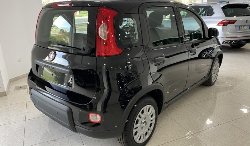 FIAT PANDA BENZINA/HYBRID ICON NUOVA pieno