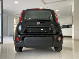 FIAT PANDA BENZINA/HYBRID ICON NUOVA pieno