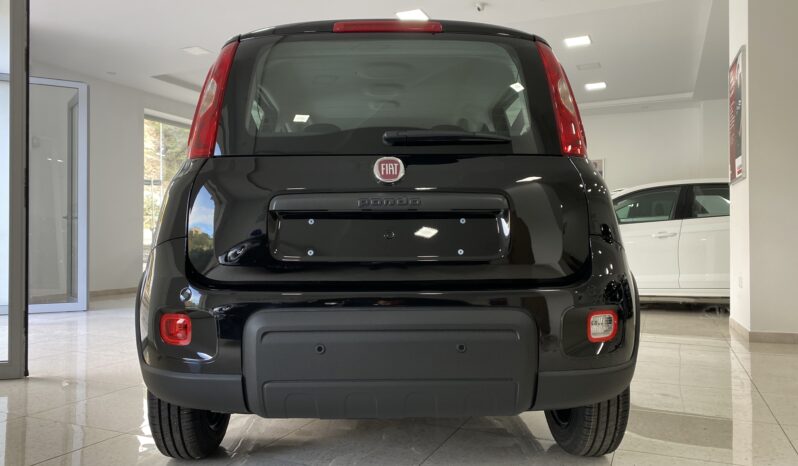 FIAT PANDA BENZINA/HYBRID ICON NUOVA pieno