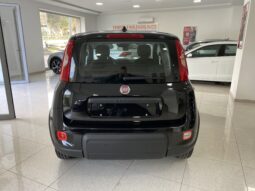 FIAT PANDA BENZINA/HYBRID ICON NUOVA pieno