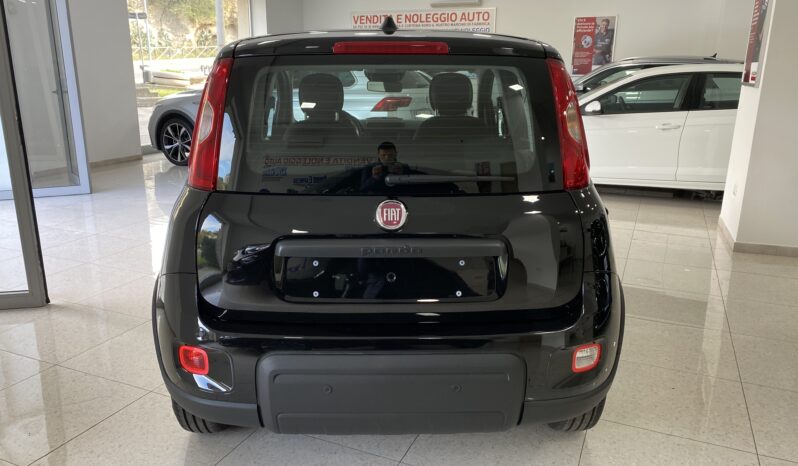 FIAT PANDA BENZINA/HYBRID ICON NUOVA pieno