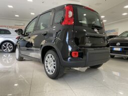 FIAT PANDA BENZINA/HYBRID ICON NUOVA pieno