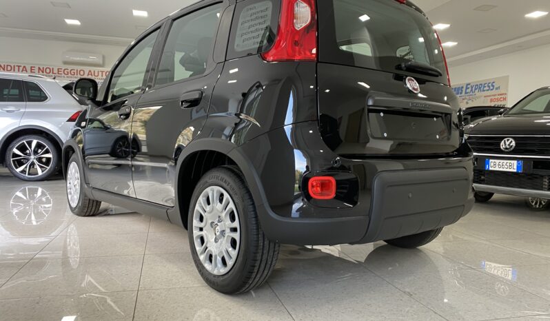 FIAT PANDA BENZINA/HYBRID ICON NUOVA pieno