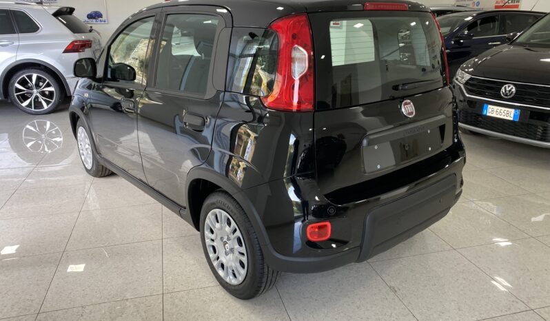 FIAT PANDA BENZINA/HYBRID ICON NUOVA pieno