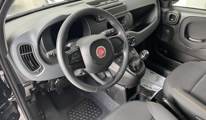 FIAT PANDA BENZINA/HYBRID ICON NUOVA pieno