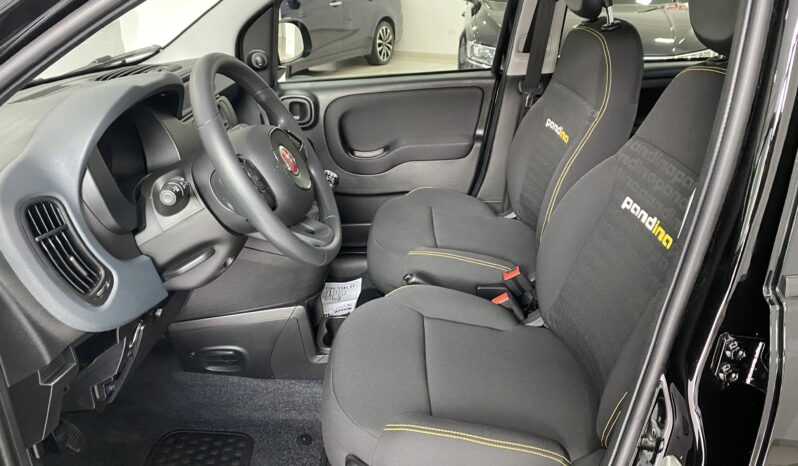 FIAT PANDA BENZINA/HYBRID ICON NUOVA pieno