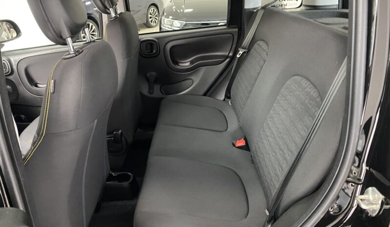 FIAT PANDA BENZINA/HYBRID ICON NUOVA pieno