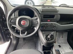 FIAT PANDA BENZINA/HYBRID ICON NUOVA pieno