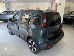 FIAT PANDINA CROSS 1.0 BENZINA/HYBRID pieno