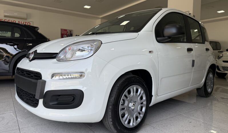 FIAT PANDINA ICON 1.0 BENZINA/HYBRID pieno