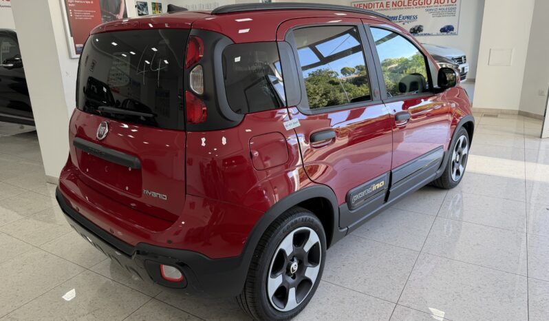 FIAT PANDINA CROSS 1.0 BENZINA/HYBRID pieno